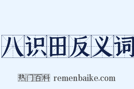 八识田反义词是什么意思的图片